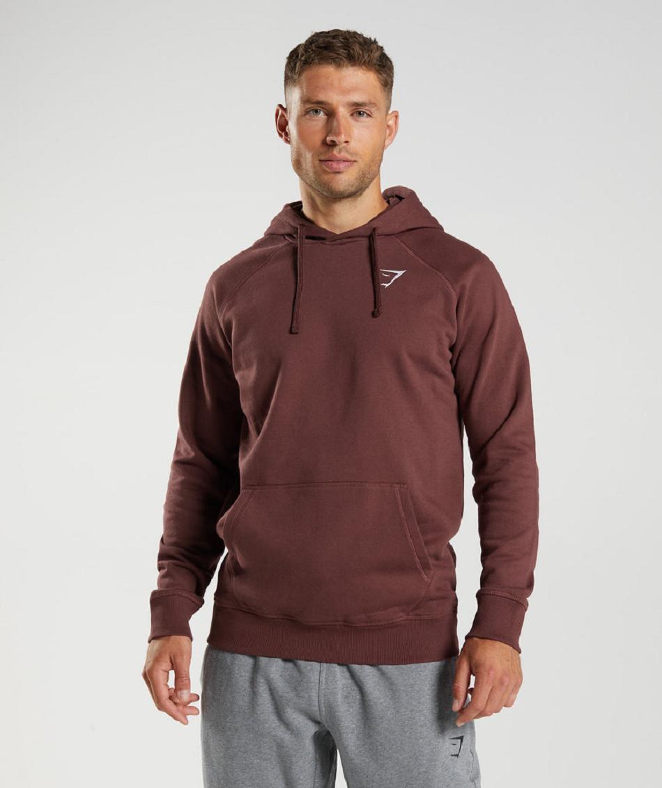 Sudadera Con Capucha Gymshark Crest Hombre Rosas Marrones | CO 3608ILH